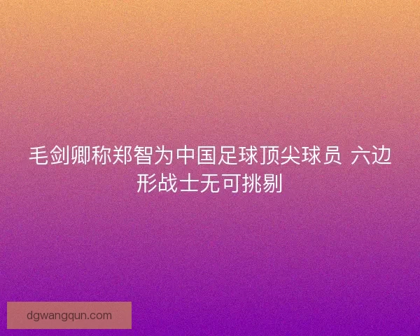 毛剑卿称郑智为中国足球顶尖球员 六边形战士无可挑剔