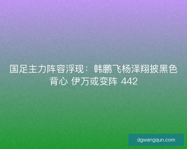 国足主力阵容浮现：韩鹏飞杨泽翔披黑色背心 伊万或变阵 442