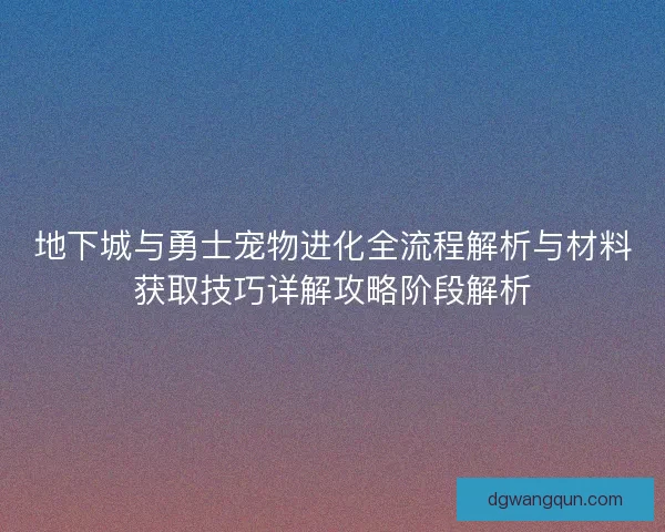 地下城与勇士宠物进化全流程解析与材料获取技巧详解攻略阶段解析